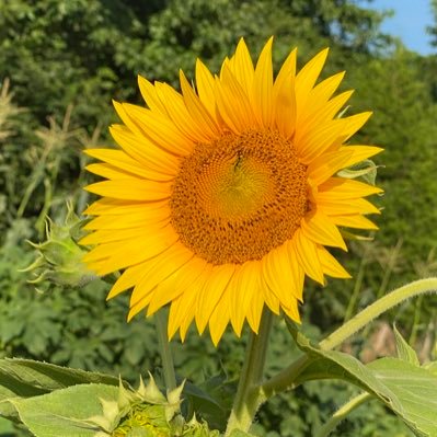 CoraIngle14's profile picture. 