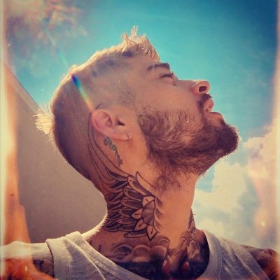 zpiderzadz's profile picture. and I thought right it’s all bark and no bite