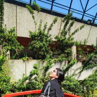 Clemencia Abad (@dreamyisa) 's Twitter Profile