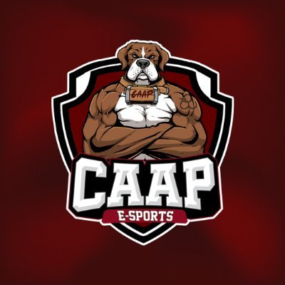 Equipe oficial de eSports da CAAP UFABC | A maior do Brasil! | #GOCAAP 🐶❤️