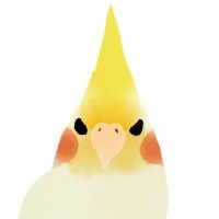 ピヨ氏(@piyo_cockatiel) 's Twitter Profile Photo