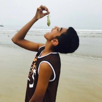 Arman Shaikh (@iamarman_101) 's Twitter Profile