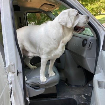 Ducksdad20's profile picture. 