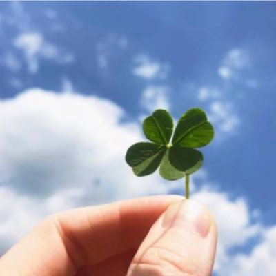 Openmindse1's profile picture. 