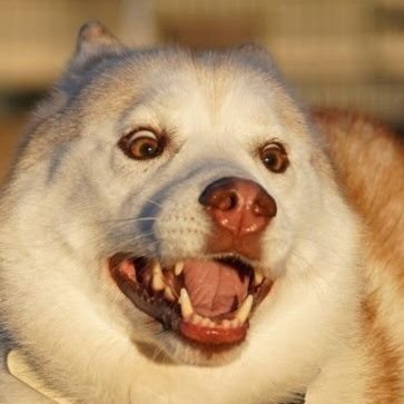 e6gLEb93Oft6Dso's profile picture. あんまり投稿しなくてすみません。フォローしている方々の意見や資料を拝見して、勇気づけられています。……たくさんのツイートを見て2012年頃に知ったプランデミックや医療利権をさらに実感。
栄養療法。踊る。90ｓ。