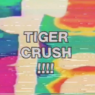 VFX Artist//DJ//Writer//aspiring model dude// Inquiries: tonytigercrush@gmail.com