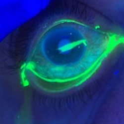 DedosSalchichas's profile picture. Once colored a place mat with Joe Sobran in a Ruby Tuesday's in Maryland. Dave Mustaine for president. Pro-Skub.