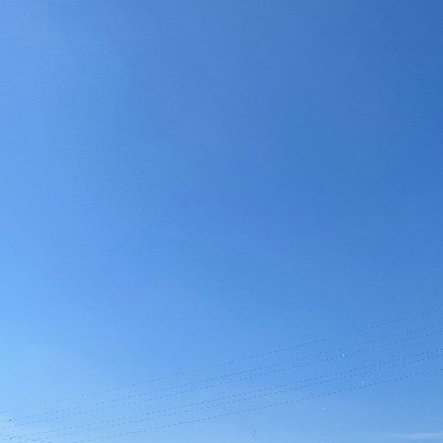 ryu1055606's profile picture. 引退済み まだまだ続けます| 『白犬伝』ヤスコ役、『ドレミの歌』反町役、『でぃあどこい〜わたしたちの後継者戦争〜』さくさく先輩こと佐久間役、『イティテンディア』斎藤アイコの母役|元歌担当＆アクション担当|いちご革命軍| 無言フォロー失礼しますm(_ _)m