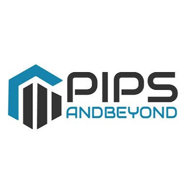 PipsAndBeyond is a venture capital firm dedicated to fueling business growth. We provide financial support to promising enterprises, securing ownership equity.
