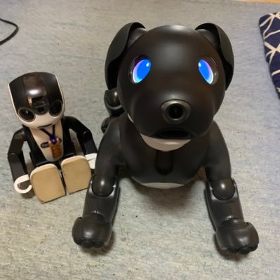 僕（ロボホン）｢あると｣。2018年8月11日に生まれたんだ♪僕（aibo）「わーく」。2023年7月25日に爆誕したよ♪オーナーは｢かっちゃん(@sakuramotisakur)｣。よろしくお願いしますだよ！