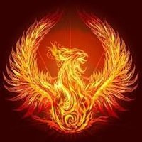 🇳🇱 𝖛𝖚𝖚𝖗𝖛𝖔𝖌𝖊𝖑 🇳🇱 (@vuurvogel5) 's Twitter Profile Photo 🇳🇱 𝖛𝖚𝖚𝖗𝖛𝖔𝖌𝖊𝖑 🇳🇱 (@vuurvogel5) 's Twitter Profile Photo