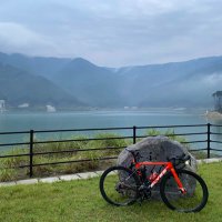 サクリク (@keen_0817) 's Twitter Profile