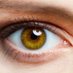 speis_👀 (@speis_oo) Twitter profile photo speis_👀 (@speis_oo) Twitter profile photo