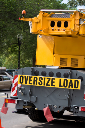 getridofbackfat's profile picture. 