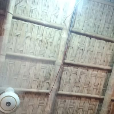 showrov7123's profile picture. 