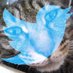 ð IMAGINE ð Above us only sky ð (@nekofighter21go) Twitter profile photo ð IMAGINE ð Above us only sky ð (@nekofighter21go) Twitter profile photo