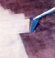 Carpet & Upholstery Cleaning, 24 hour Water Extraction Service, Mold Treatments, Oriental & Specialty Rug Cleaning