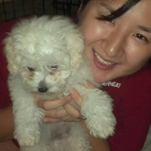 ayapapayadaa's profile picture. 