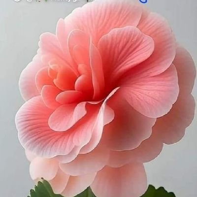 HemantK16764605's profile picture. 