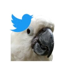 そねっち (@max_ben_p) 's Twitter Profile
