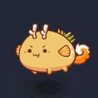 lord of rings ❤️ Memecoin (@walkerwqql9o7) 's Twitter Profile