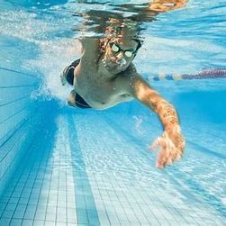 edmundo_hankel's profile picture. 🚹🚺🚼🐕🐈