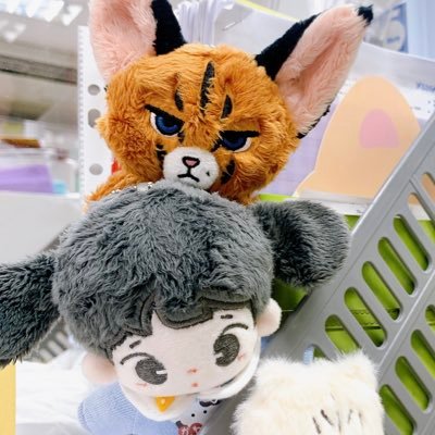 co-op with @tokkidyshop | review #รีวิวโพนี่ไง | ปิดร้านแล้ว แต่แวะมาคุยเล่นกันได้น๊า 🫶
