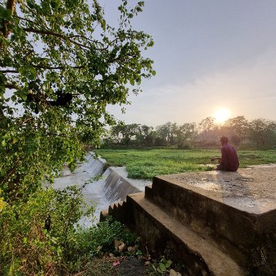 notSo_offensive's profile picture. 