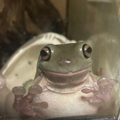 海、夏、生き物全般好き。全国の水族館を制覇したい。犬、猫、ハムスターなど小動物、トカゲ、ヘビ、カエル、昆虫何でも守備範囲 。ゲームはモンスト。  ENFP