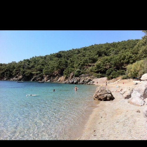 kritzas84's profile picture. 