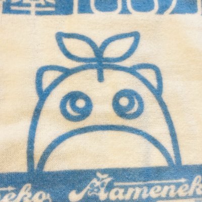 猫と暮らすお得大好きのあんです🌸
アニメと食べることが大好き😊
バーチャルライバーグループ「にじさんじ」のライバーさんの動画配信を見るのが最近の生きがい💕
みんな大好きだけど、しいて言うならレオスさん推し🥰
あと最近イブラヒムも気になってる🌟
アマゾンアソシエイトに参加しています