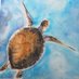 Tortue Marine (@paraibaheaven) Twitter profile photo Tortue Marine (@paraibaheaven) Twitter profile photo