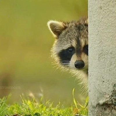 pyar_se_dekh's profile picture. I have no real talent