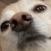 DuhConfusionLord (@thepoch230) Twitter profile photo