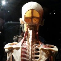 Mito Kondoria (@koderamito) 's Twitter Profile