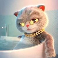 koustav Chakraborty ❤️ Memecoin (@squirest44jh) 's Twitter Profile