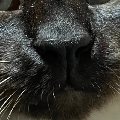 がに股ハイヒールさんのプロフィール画像