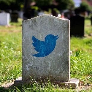 UlrikeG4's profile picture. Leserin