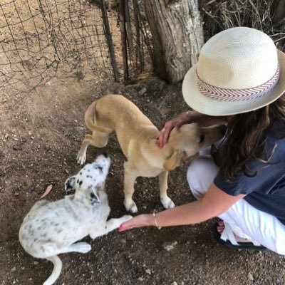 Ahwellnevermind's profile picture. #LeaveTheKidsAlone #KPSS #AllYouNeedIsDogs #LookUp
