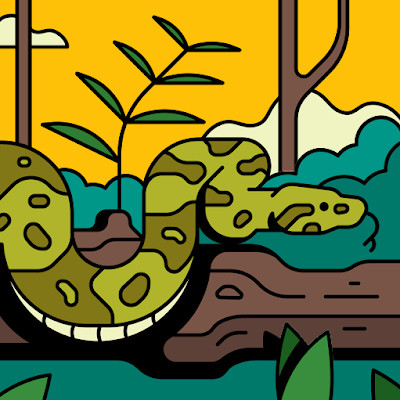 python2026's profile picture. 