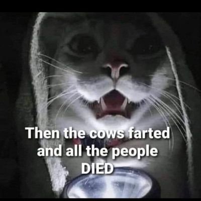 Eolas_na_Iontas's profile picture. A bit of cop on would do the world good.
Is fearr eolas ná iontas.

Accounts that exhibit botlike behaviour will be blocked.