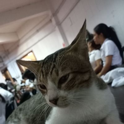 MGA GURO NG BAYAN, NGAYON AY LUMALABAN; NGAYON AY LUMALABAN, MGA GURO NG BAYAN