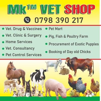 Veterinary surgeon