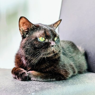 SlavaTiwar2612's profile picture. MEPhI Sophmore, love spicy food! 
Software Engineer.