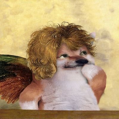 MaxStarWalker's profile picture. Per aspera ad astra!