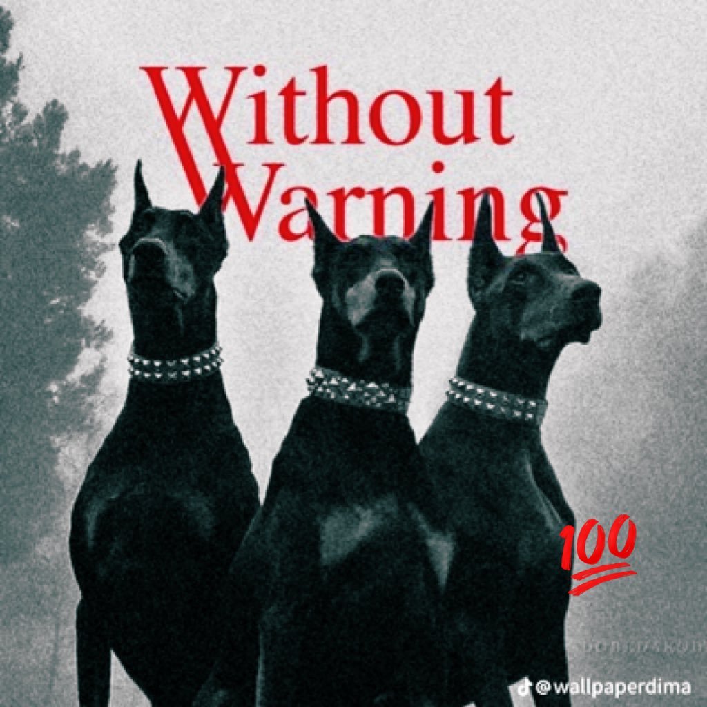 SxloT8's profile picture. 