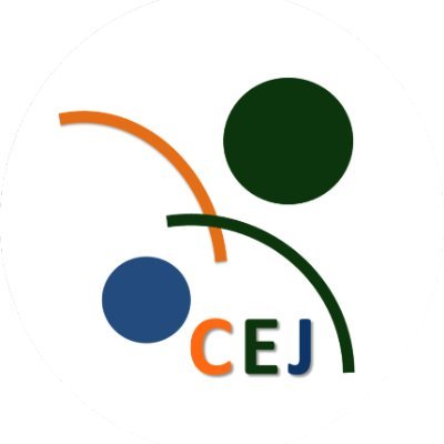 CEJZambia2010 Profile Picture