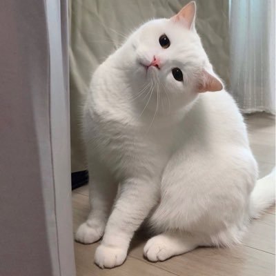 Ampss11's profile picture. 