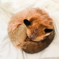 pachiパチ (@jennycloud2609) 's Twitter Profile Photo pachiパチ (@jennycloud2609) 's Twitter Profile Photo
