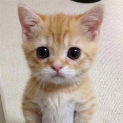 dreiocity's profile picture. I love my wife